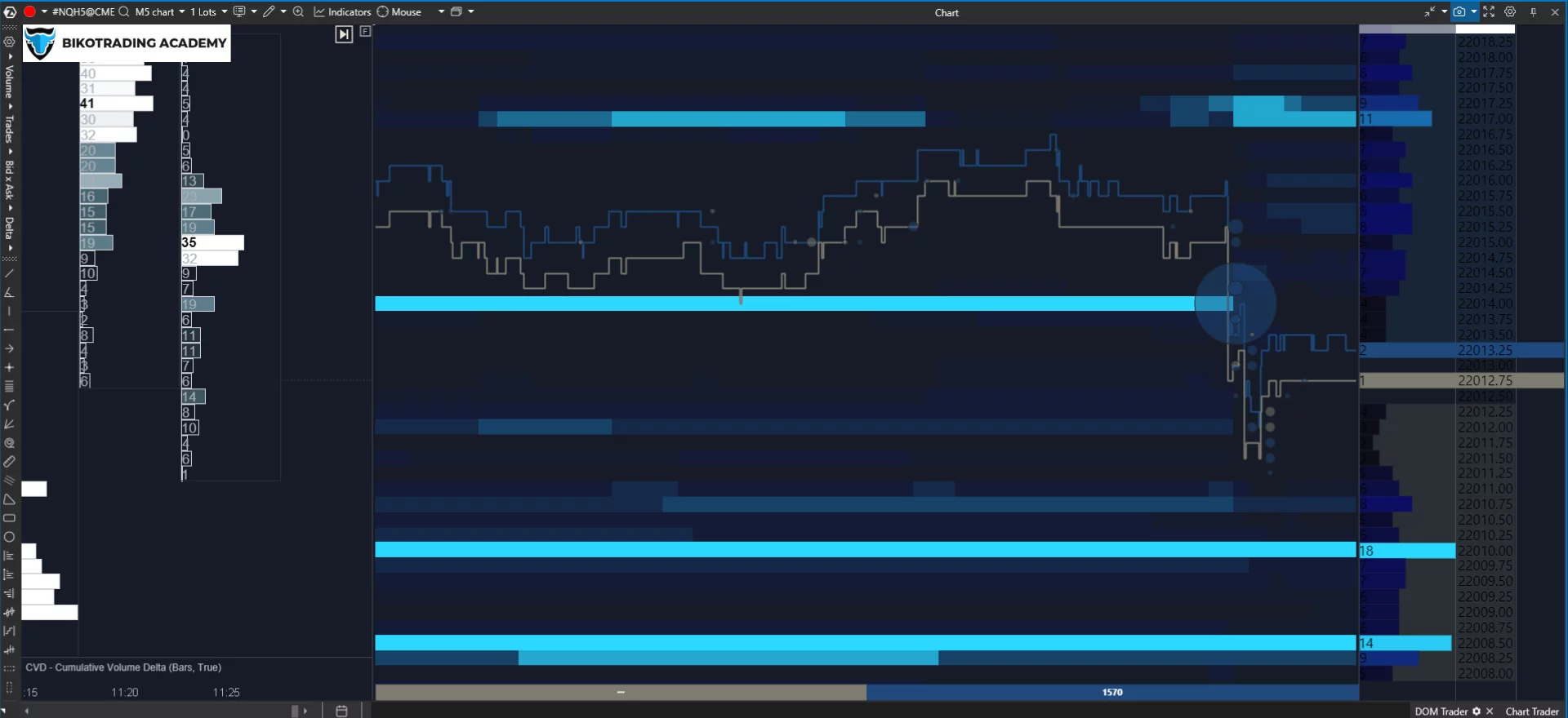 Order Book Heatmap