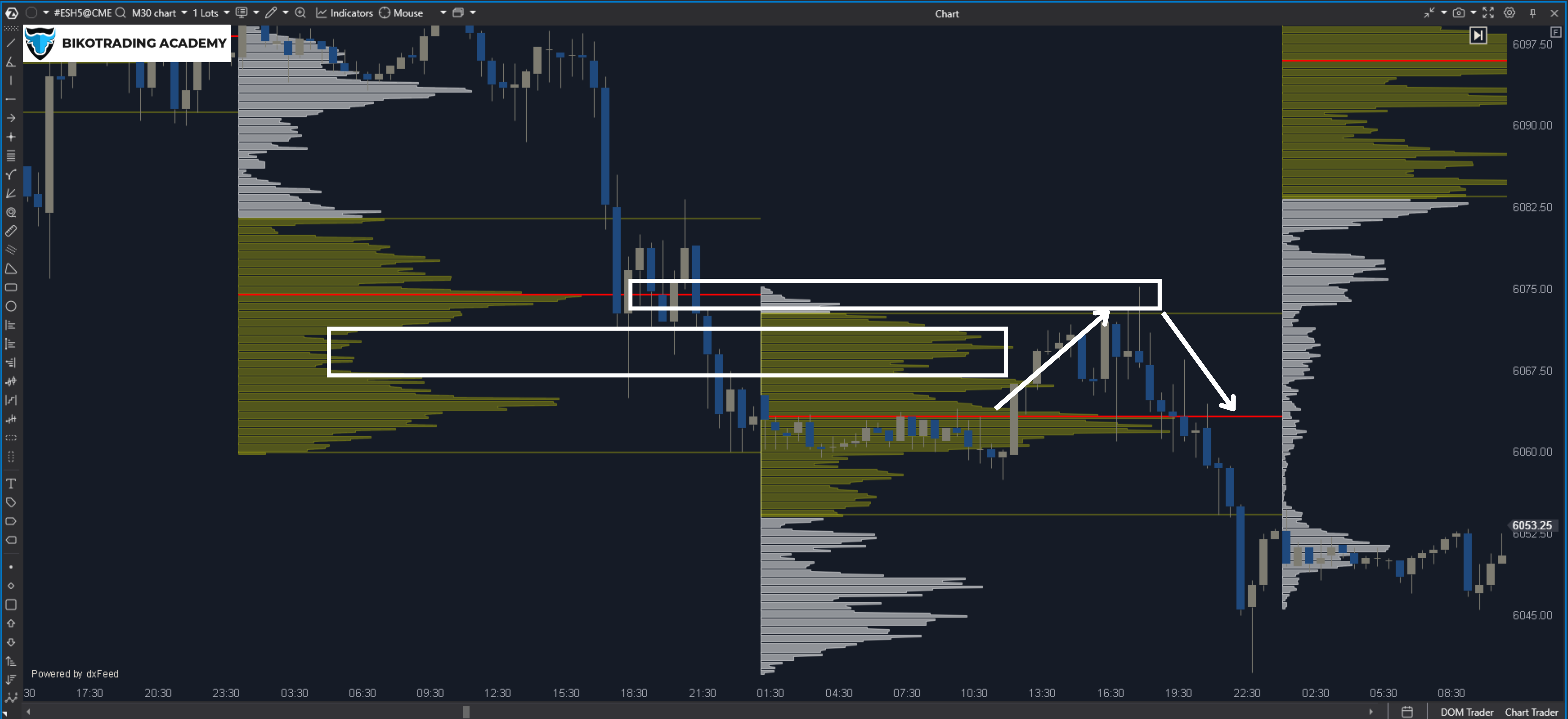 Analysis of breakdowns through LVNs