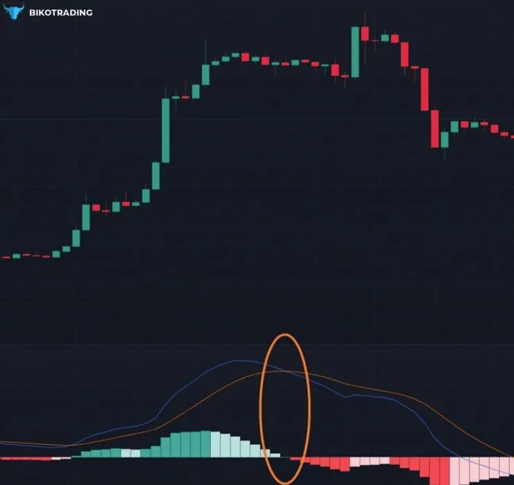 How to make money on the MACD chart?