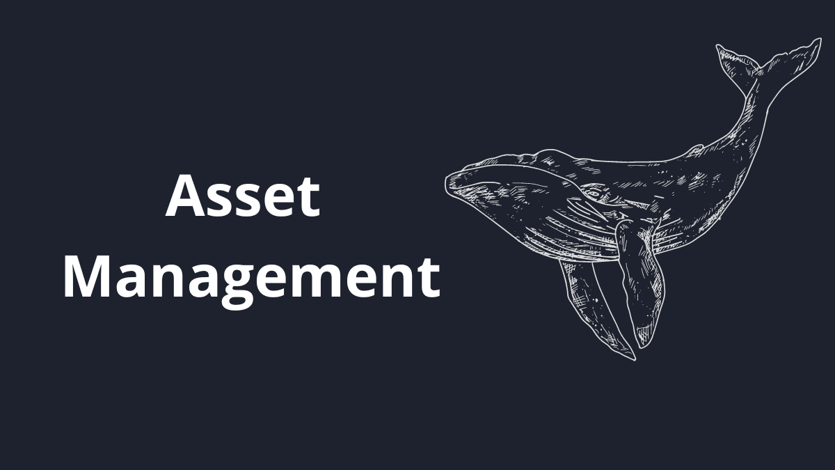 Asset Management Crypto. Just sit back and enjoy a passive income stream!