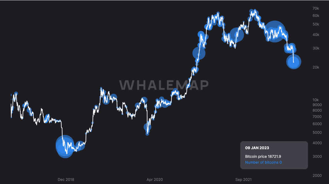 bitcoin hodler outflow inflow