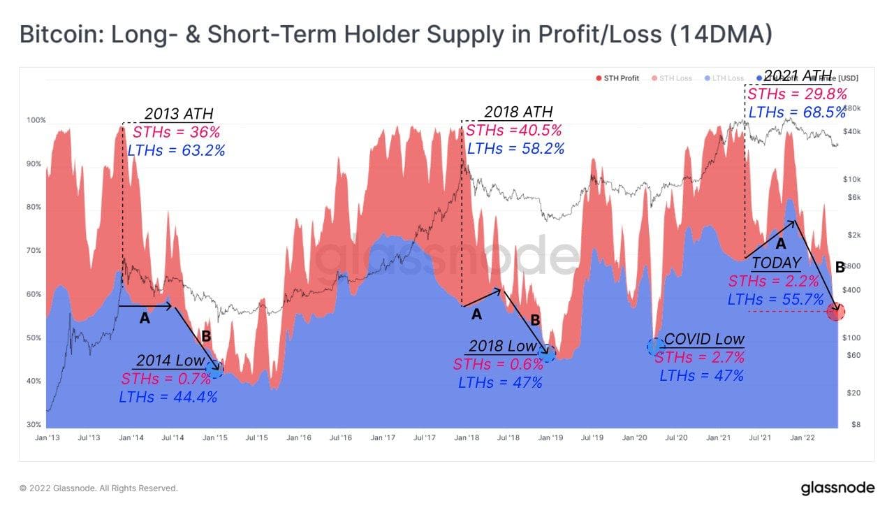 bitcoin long and short term holder supply in profit loss