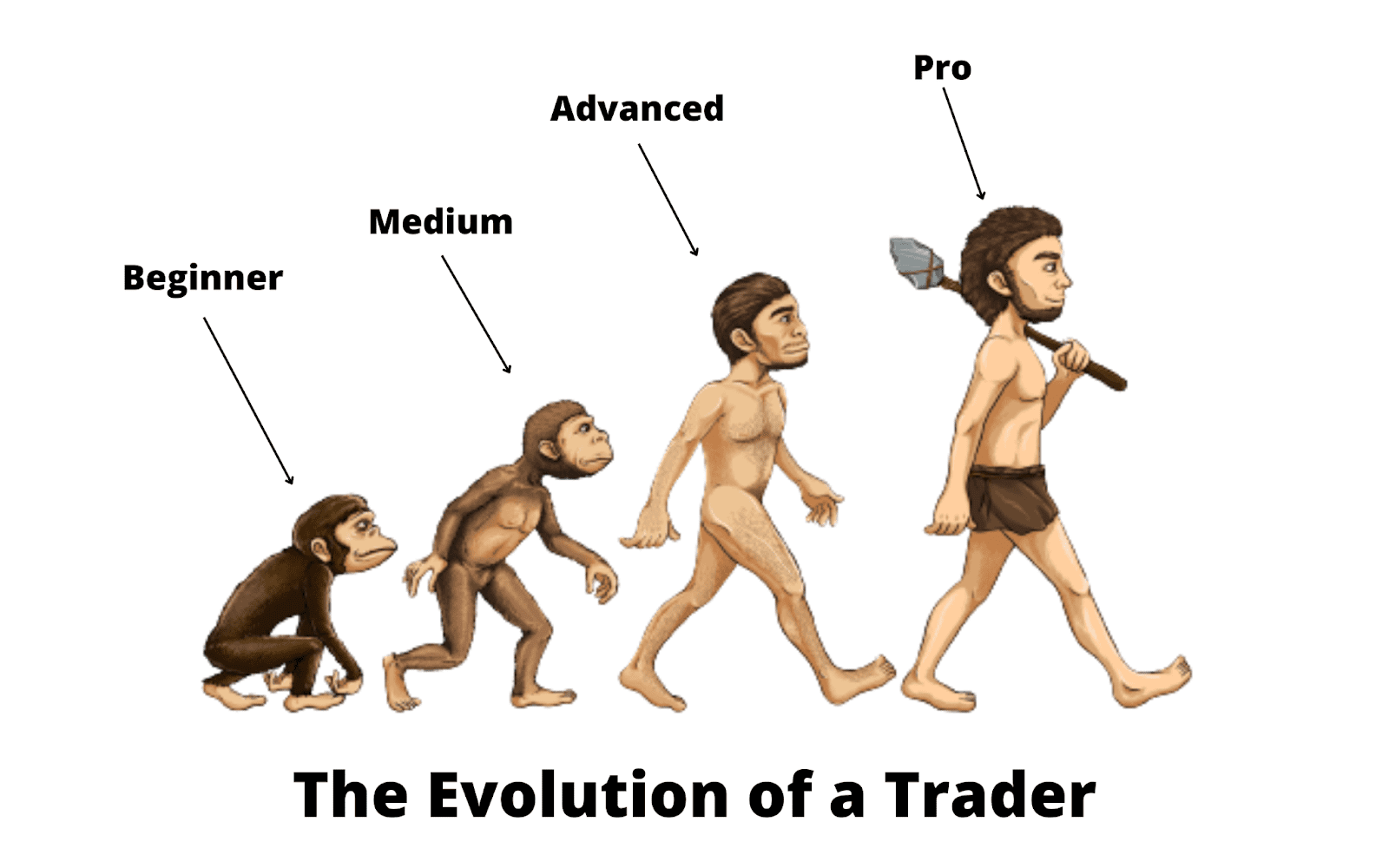 how to become a profitable trader