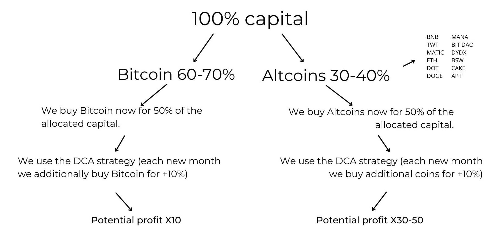 bitcoin investment strategyy