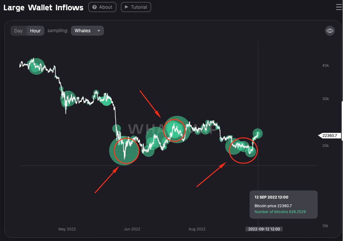 large crypto wallets inflows