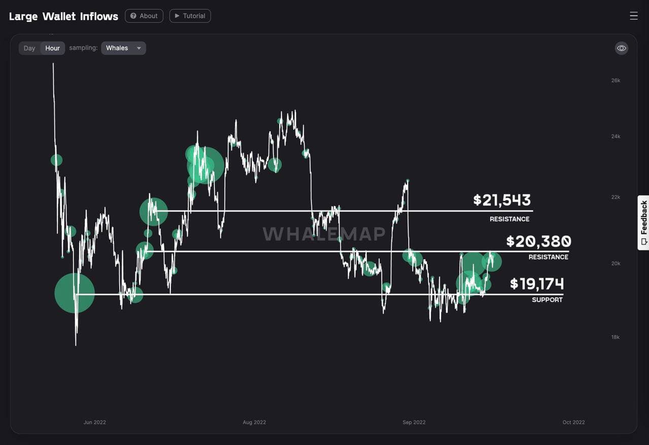 whale buy bitcoin 