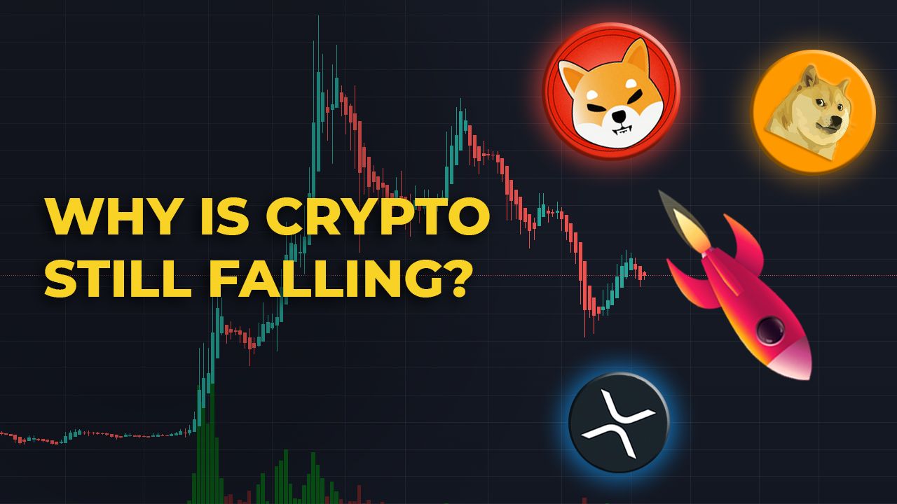 WHY IS CRYPTO STILL FALLING? WHY HAVE ALTCOINS LOST 70-90% OF THEIR VALUE? HOW TO AVOID LOSSES!