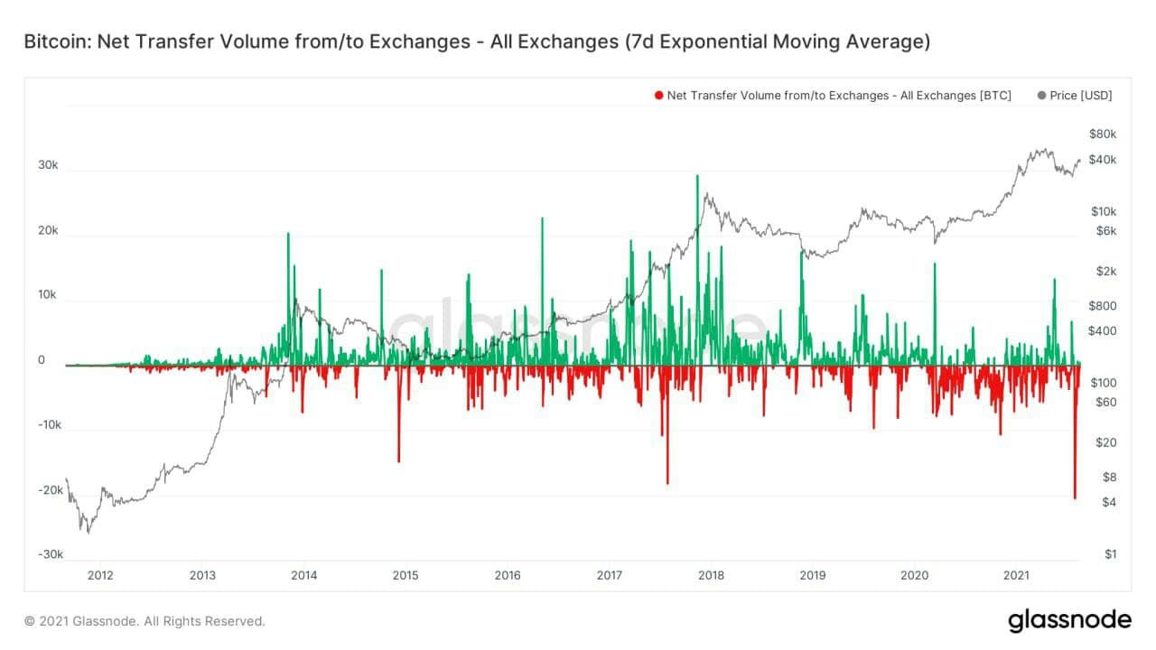 net transfer volume bitcoin 