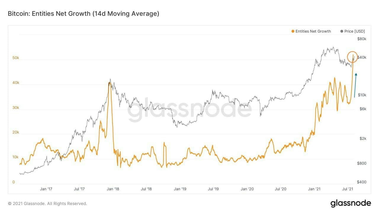 btc fundamental metriks 