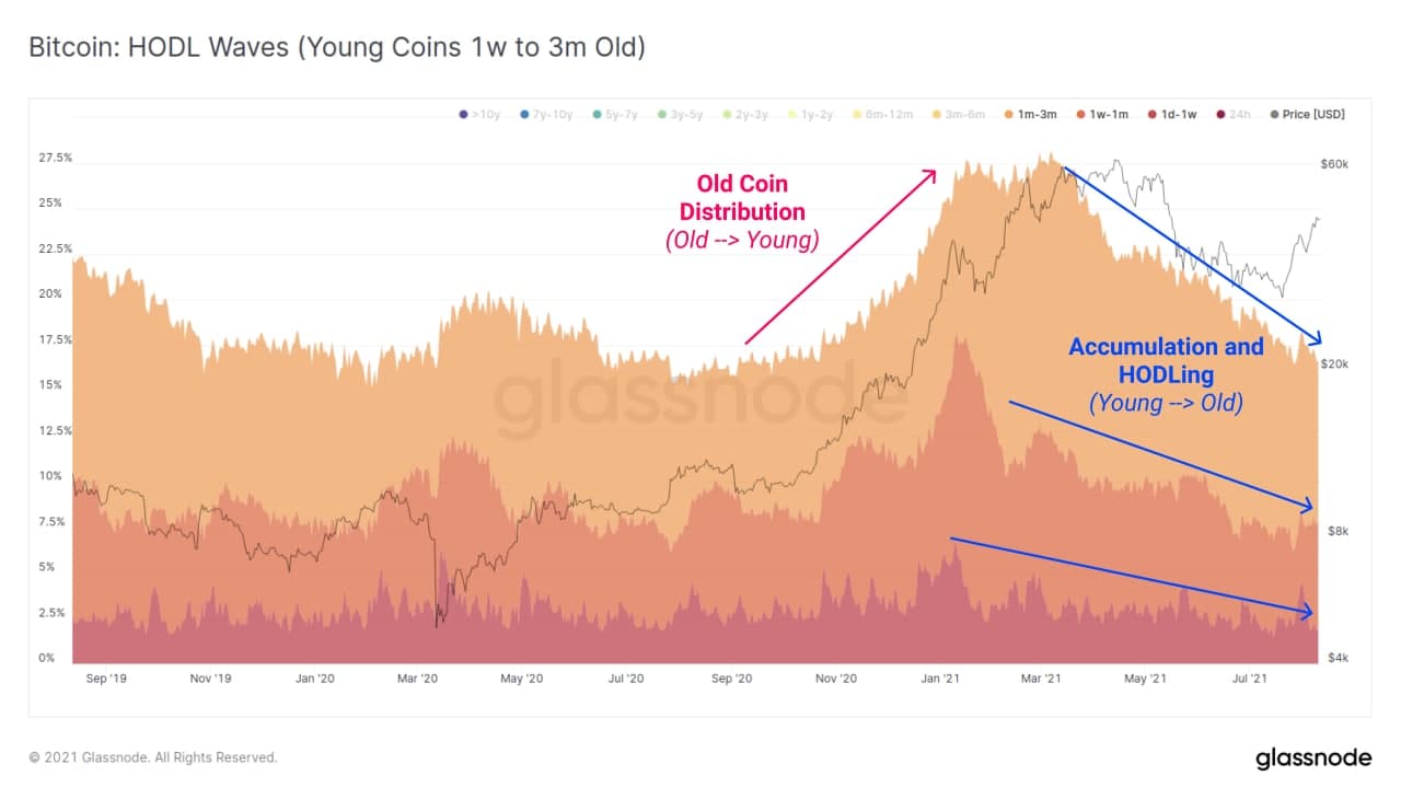 bitcoin hodl waves