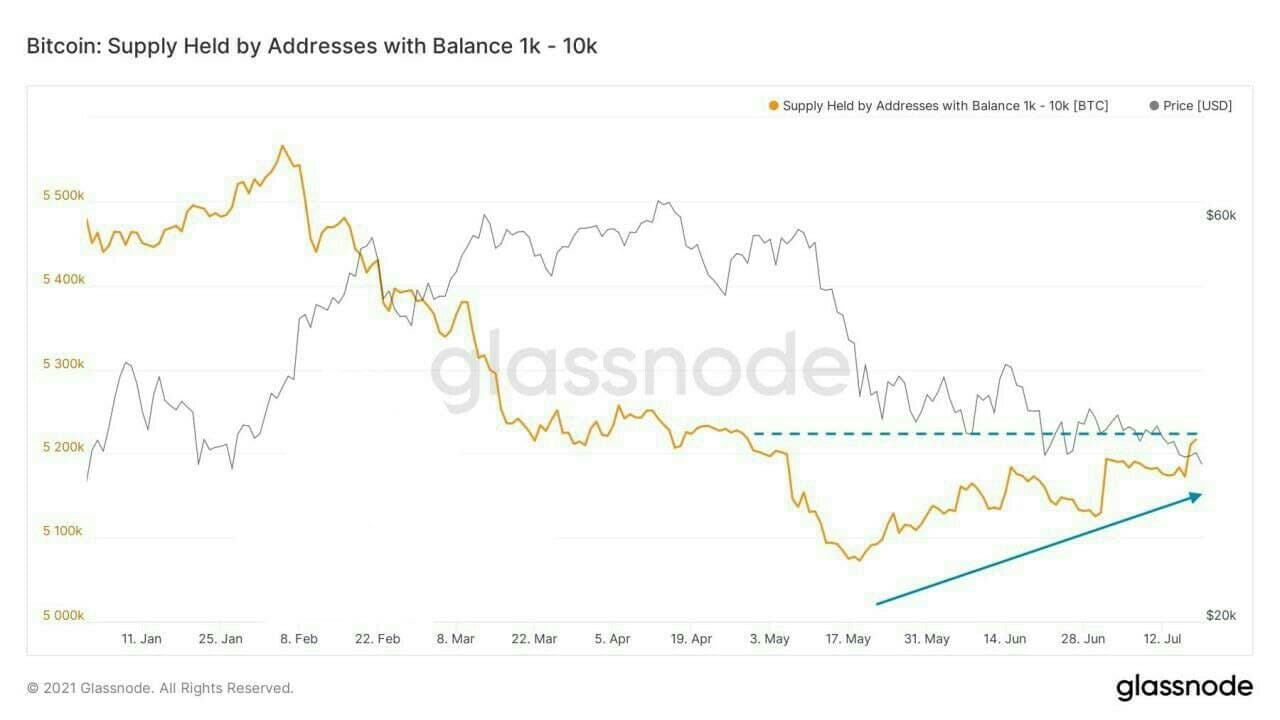 bitcoin supply held 