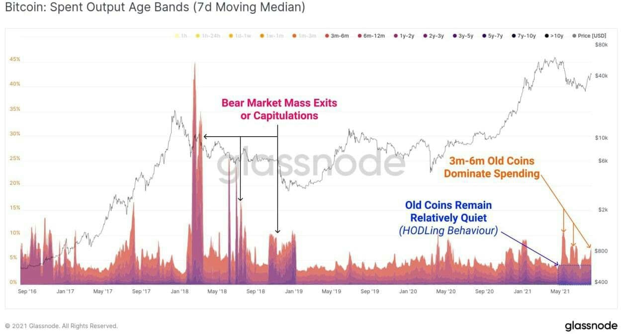 fundamental analisys btc